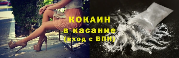 прущие грибы Алексин